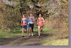 Begles 15.12.13 01 1100 * 679 x 453 * (200KB)